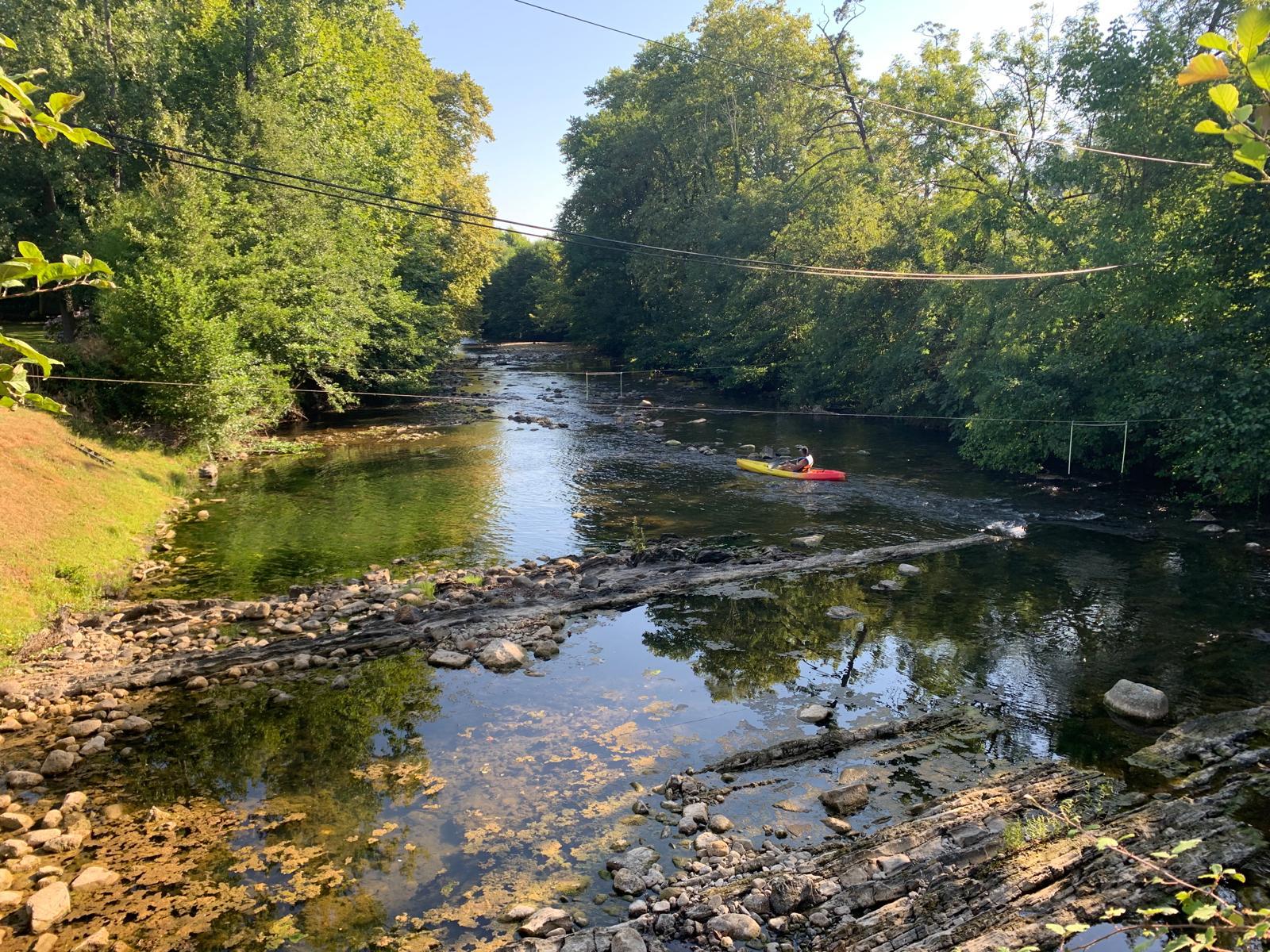 Forêt et rivière en été